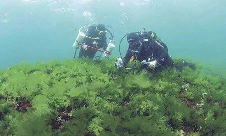 İstanbul'un onuncu adası bulundu