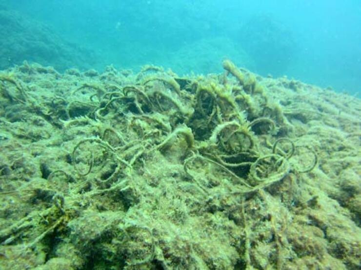  Antalya'da denize ihanetin fotoğrafı