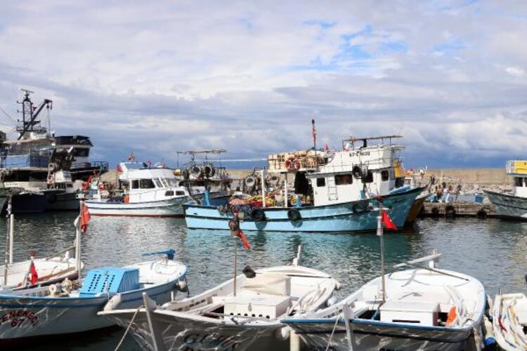 Balık fiyatları ile ilgili flaş açıklama: Ekim ayı...