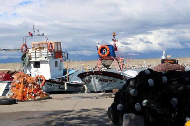 Balık fiyatları ile ilgili flaş açıklama: Ekim ayı...