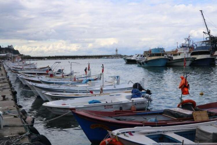 Balık fiyatları ile ilgili flaş açıklama: Ekim ayı...