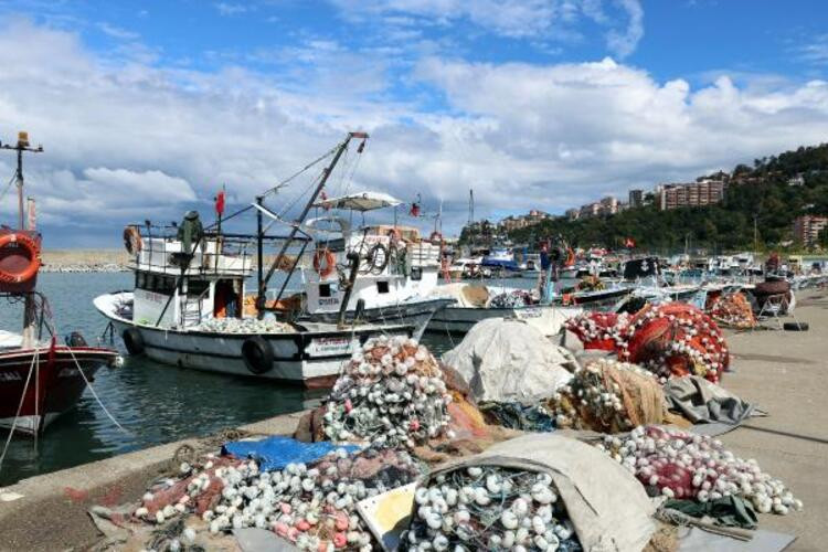 Balık fiyatları ile ilgili flaş açıklama: Ekim ayı...