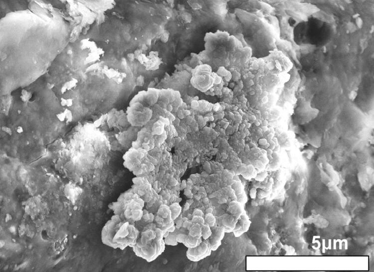 Dünya tarihine dair ipuçları sağlayabilir: Asteroit tozunda su bulundu!