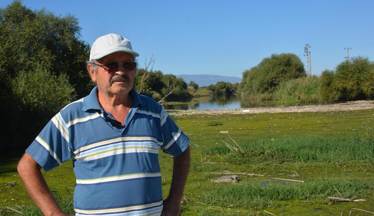 Korkutan görüntü: Binlerce ölü balık kıyıya vurdu!