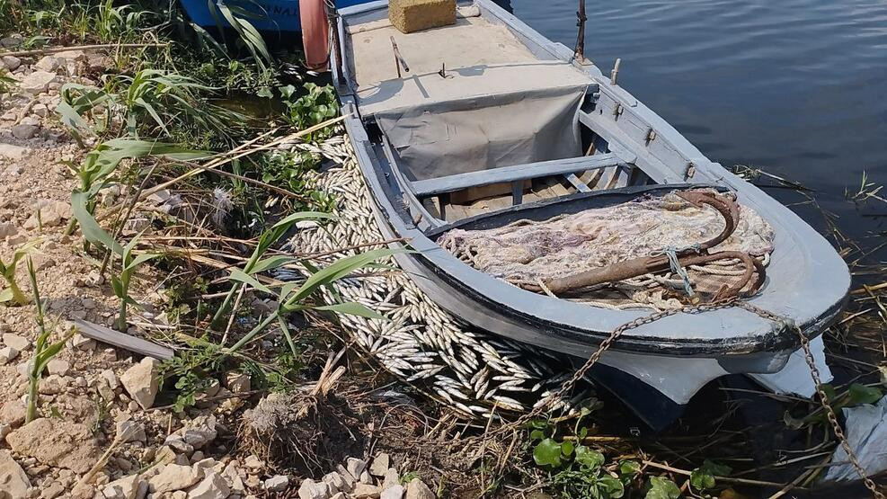 Asi Nehri'nde endişe veren görüntü: İnceleme başlatıldı!