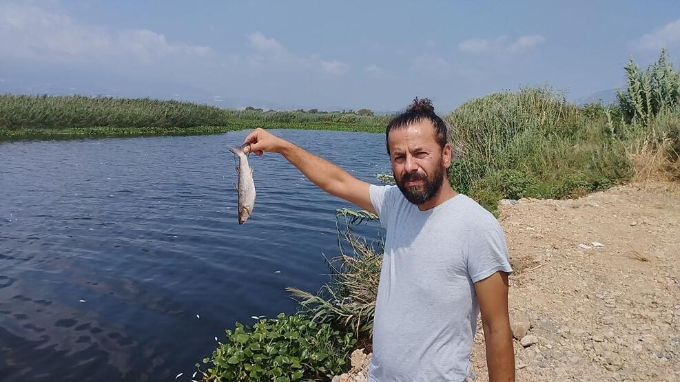 Asi Nehri'nde endişe veren görüntü: İnceleme başlatıldı!