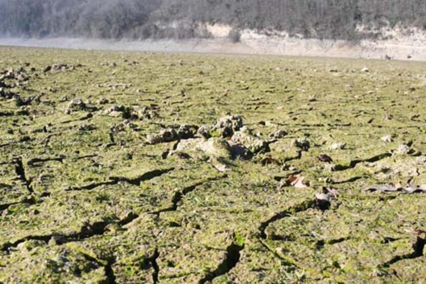 Yüzde 5'in altına düştü: Barajlar alarm veriyor!