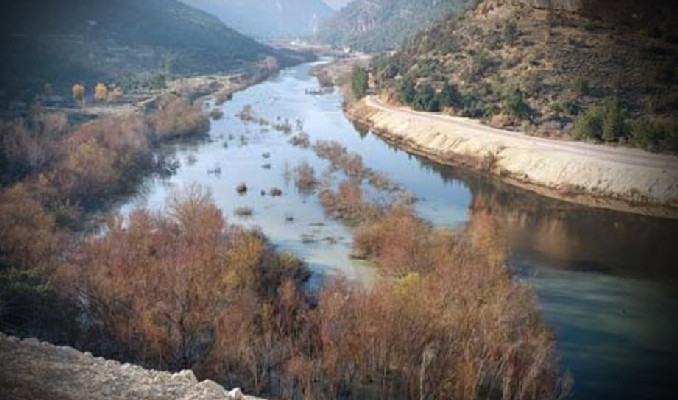 Kuş cenneti kabusu yaşıyor: Simsiyah!