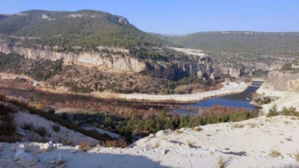 Kuş cenneti kabusu yaşıyor: Simsiyah!