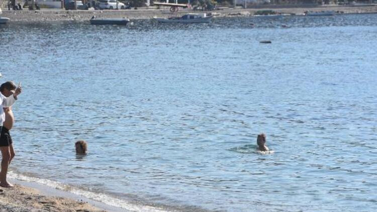 Fotoğraflar bugün çekildi: Ocak ayında deniz keyfi!