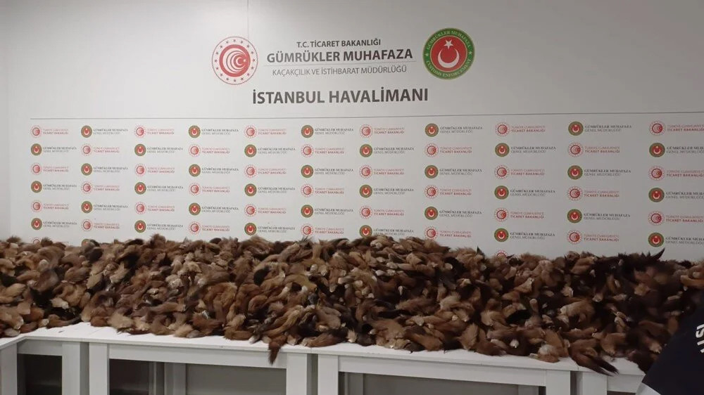 İstanbul Havalimanı'nda 10 bin 300 tilki kuyruğu ele geçirildi!