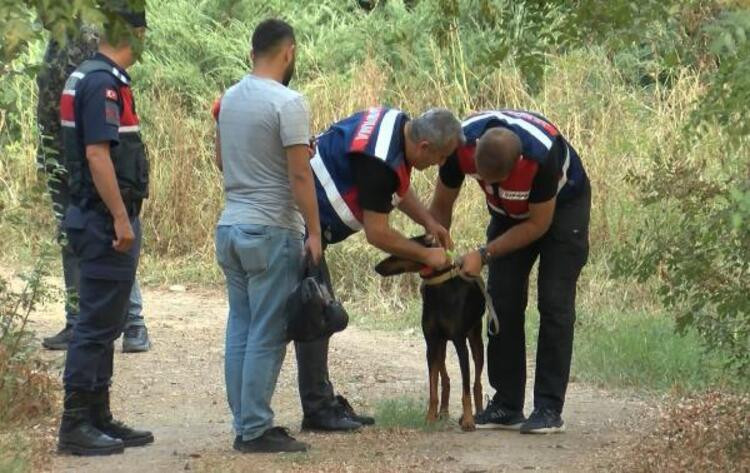 130 günde tek bir ize rastlanmadı. Gizemli bir durum var