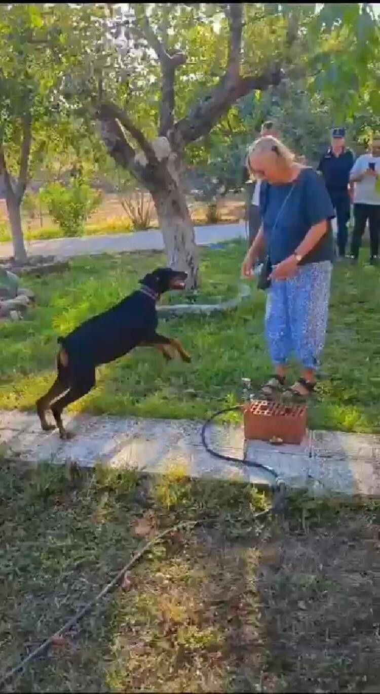 130 günde tek bir ize rastlanmadı. Gizemli bir durum var