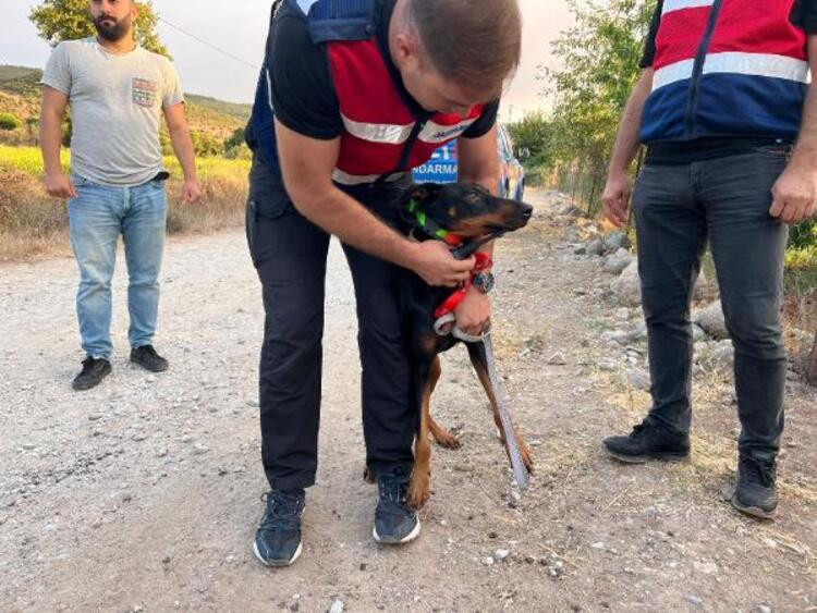 130 günde tek bir ize rastlanmadı. Gizemli bir durum var