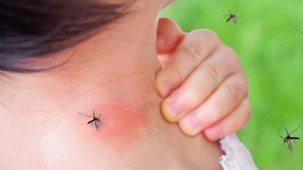 Dünya için yeni tehlike: 'Aedes' alarmı!