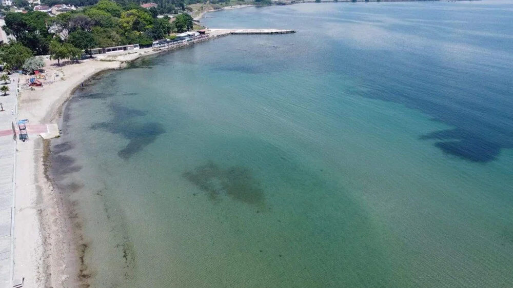 Marmara Denizi'nde tehlikeli sıcaklık artışı ve tehditler...