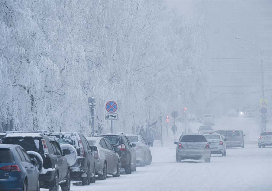 Eksi 50 derecede yaşam