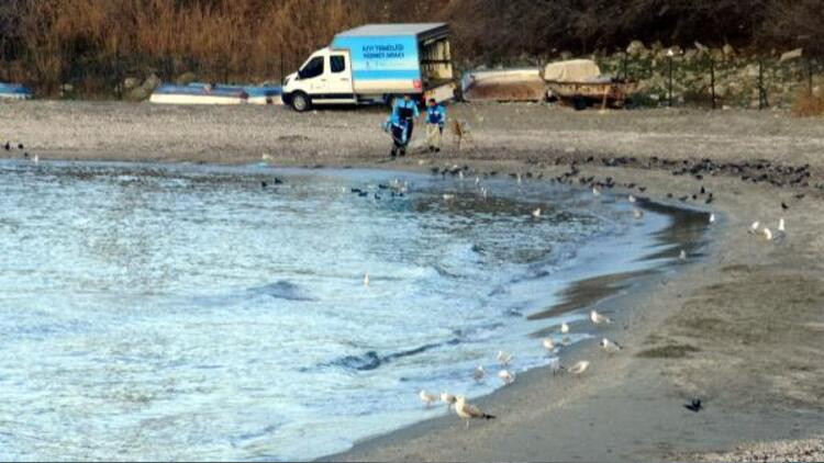 İstanbul'da korkutan görüntü: Deniz metrelerce çekildi!