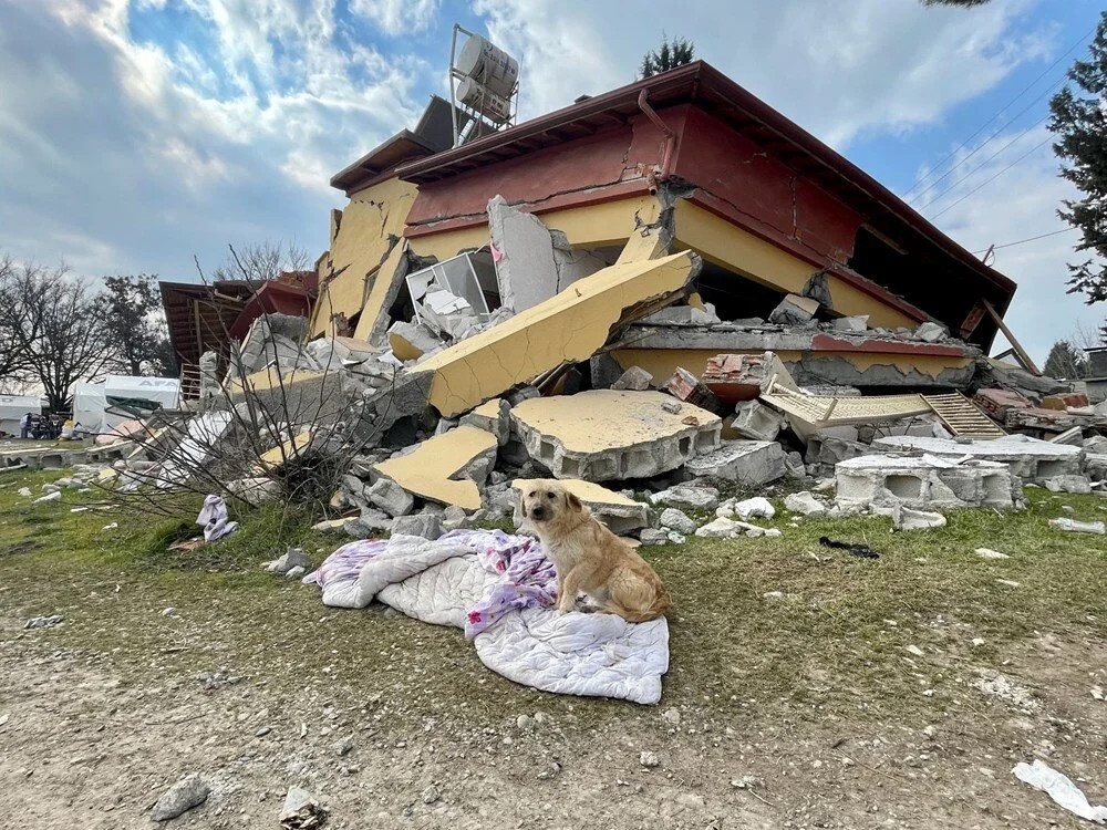 Fay hattı ikiye böldü: 140 haneli köy enkaza döndü!