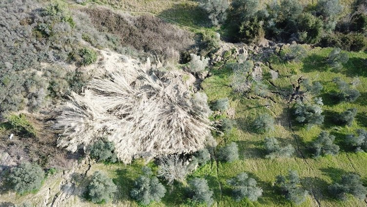 Depremin şiddetini gösteren yeni görüntüler: Sanki atom bombası düştü!