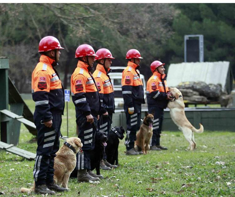 TSK’nın arama köpekleri 78 kişiyi kurtardı; 'sessiz kahramanlar' madalya ile ödüllendirildi