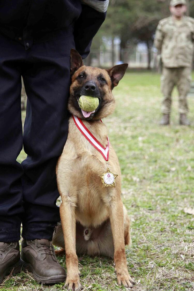 TSK’nın arama köpekleri 78 kişiyi kurtardı; 'sessiz kahramanlar' madalya ile ödüllendirildi