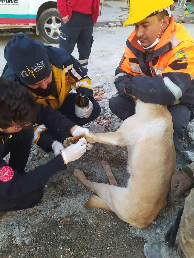 TSK’nın arama köpekleri 78 kişiyi kurtardı; 'sessiz kahramanlar' madalya ile ödüllendirildi