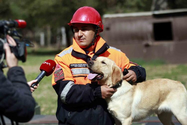 TSK’nın arama köpekleri 78 kişiyi kurtardı; 'sessiz kahramanlar' madalya ile ödüllendirildi