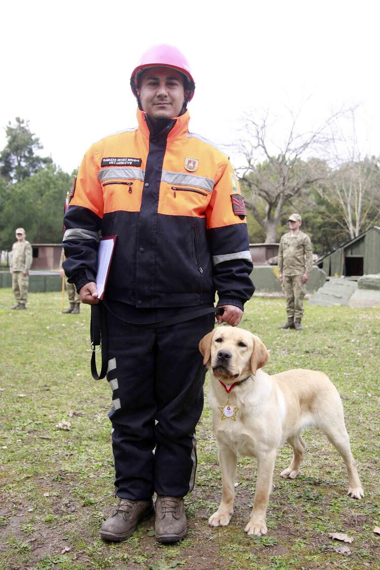 TSK’nın arama köpekleri 78 kişiyi kurtardı; 'sessiz kahramanlar' madalya ile ödüllendirildi