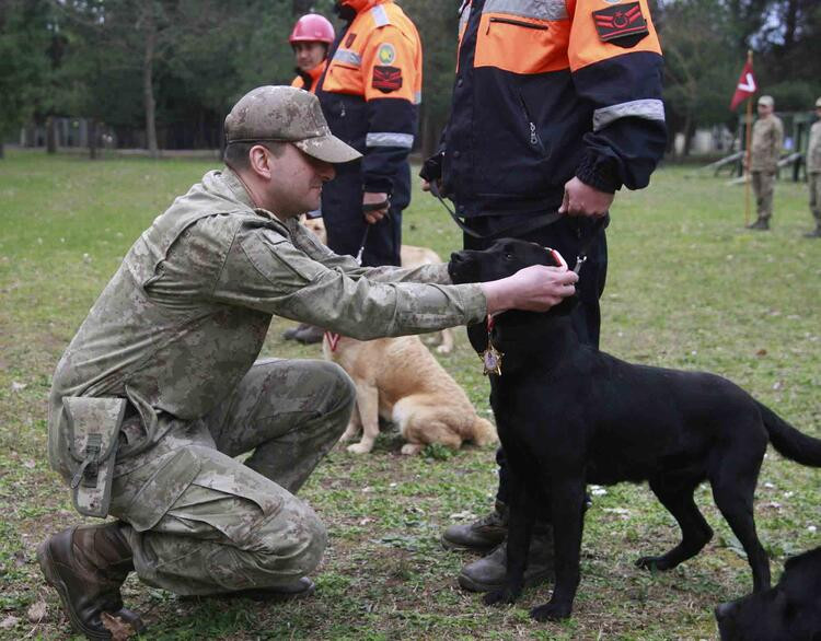 TSK’nın arama köpekleri 78 kişiyi kurtardı; 'sessiz kahramanlar' madalya ile ödüllendirildi