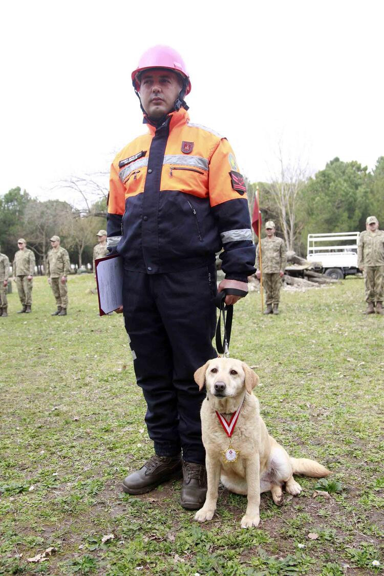 TSK’nın arama köpekleri 78 kişiyi kurtardı; 'sessiz kahramanlar' madalya ile ödüllendirildi