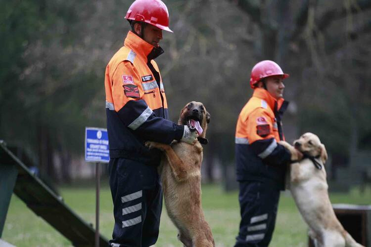 TSK’nın arama köpekleri 78 kişiyi kurtardı; 'sessiz kahramanlar' madalya ile ödüllendirildi