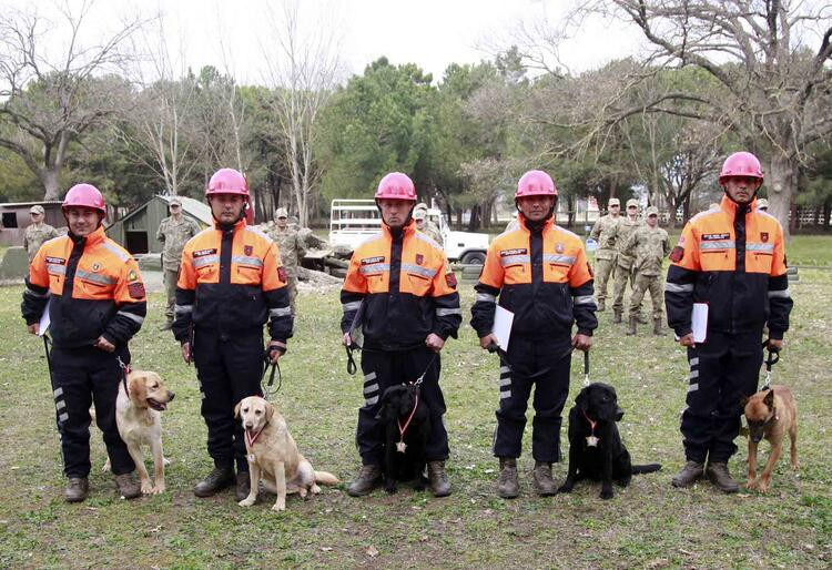 TSK’nın arama köpekleri 78 kişiyi kurtardı; 'sessiz kahramanlar' madalya ile ödüllendirildi