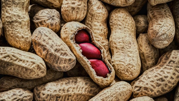 İşte Alzheimer'a şifa olan süper besinler...