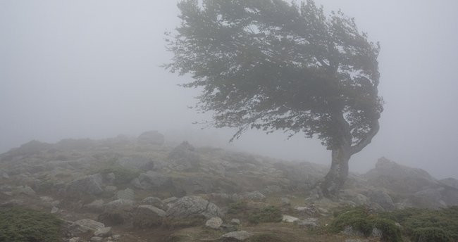 Meteoroloji'den yoğun kar uyarısı!