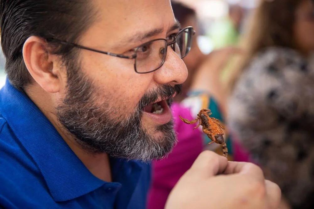 Akrep, tırtıl, hamamböcekleri... Meksika'da 'Yenilebilir Böcek Festivali'