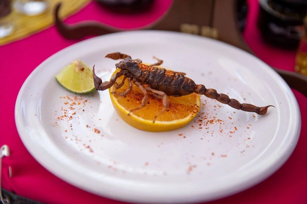 Akrep, tırtıl, hamamböcekleri... Meksika'da 'Yenilebilir Böcek Festivali'