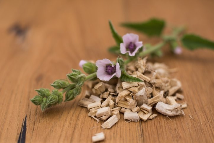 Altın değerinde antibiyotik! Ne hastalık kalıyor ne öksürük...