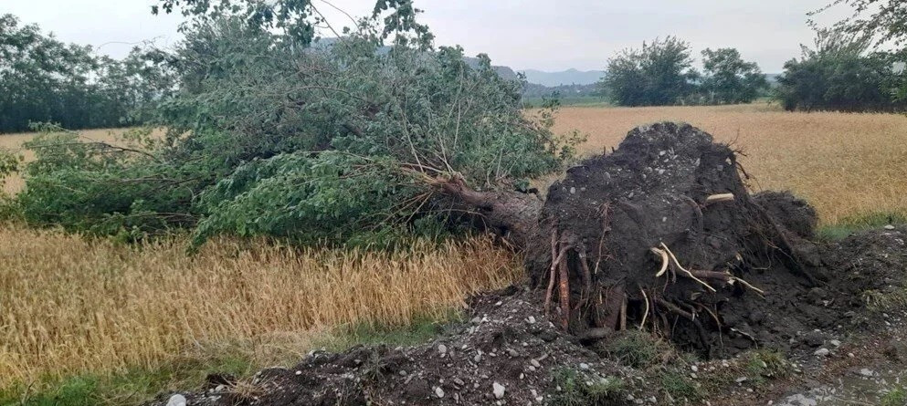 Adana, Mersin, Bodrum ve Osmaniye'de sağanak hayatı felç etti