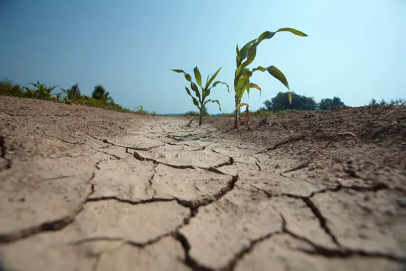 DMÖ'den 'rekor sıcaklık' uyarısı: El Nino kapıda!