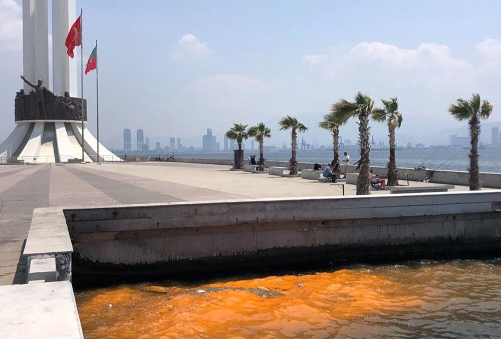 İzmir'de endişelendiren görüntü: Müsilaja neden olabilir!