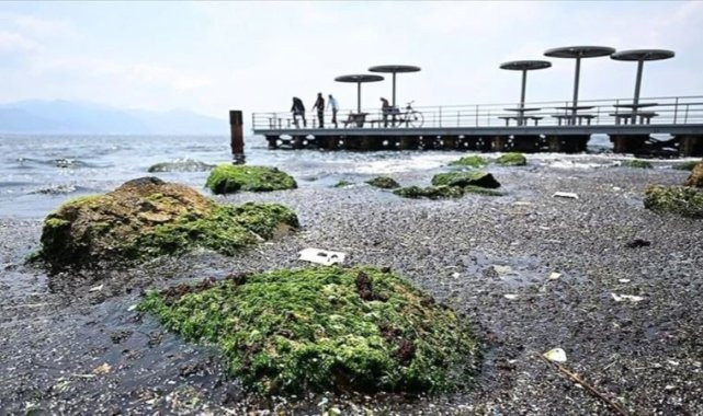 İzmir'de endişelendiren görüntü: Müsilaja neden olabilir!