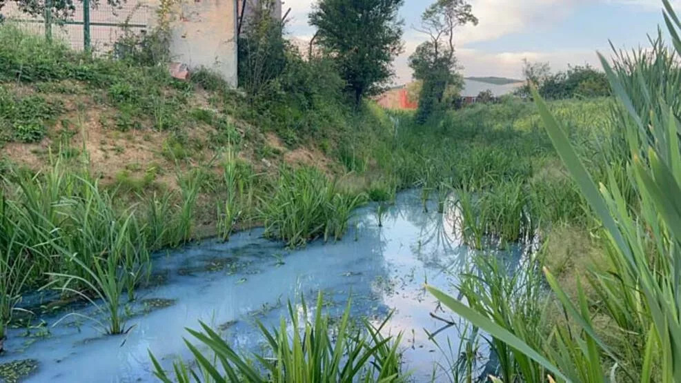 İstanbul'da tedirgin eden görüntü!