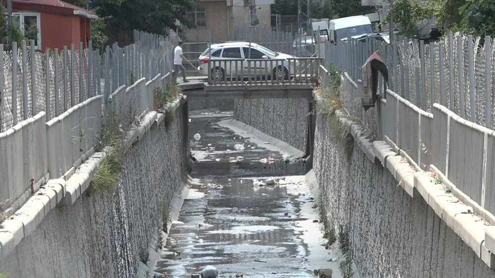 İstanbul'da 'sivrisinek' tedirginliği: Isırdığı yer kabarıyor, içinden su çıkıyor!