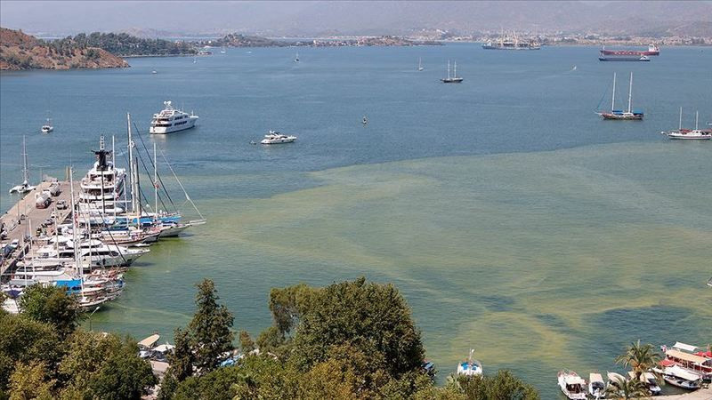 Uzmanlardan 'Fethiye Körfezi' uyarısı: Acil önlem alınmalı!