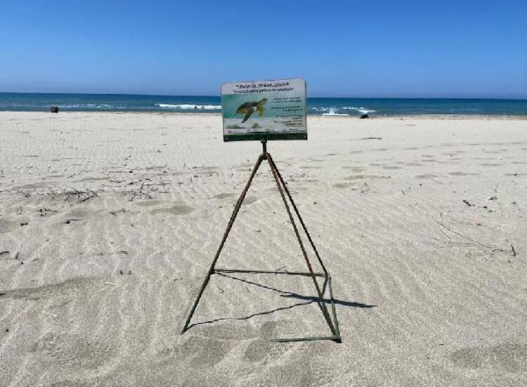 Caretta caretta yuvaları ATV araçların tehdidi altında