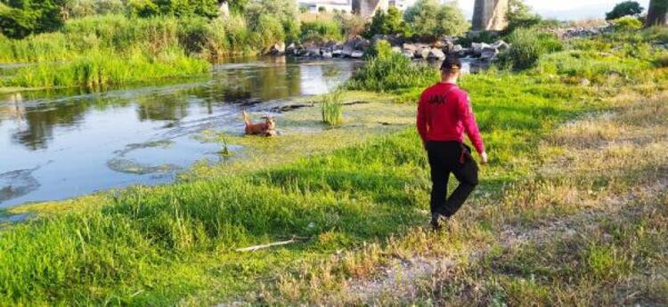 180 kilometrekare alanda arandı ama Berzeg'e ulaşılamadı