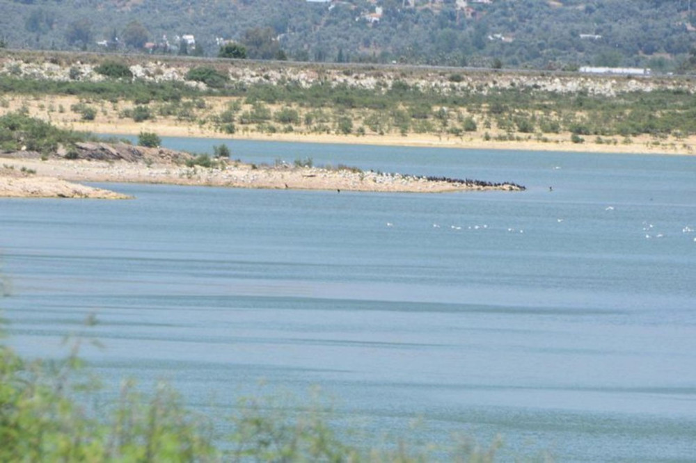 Uzman isim uyardı: Bodrum için son demek!