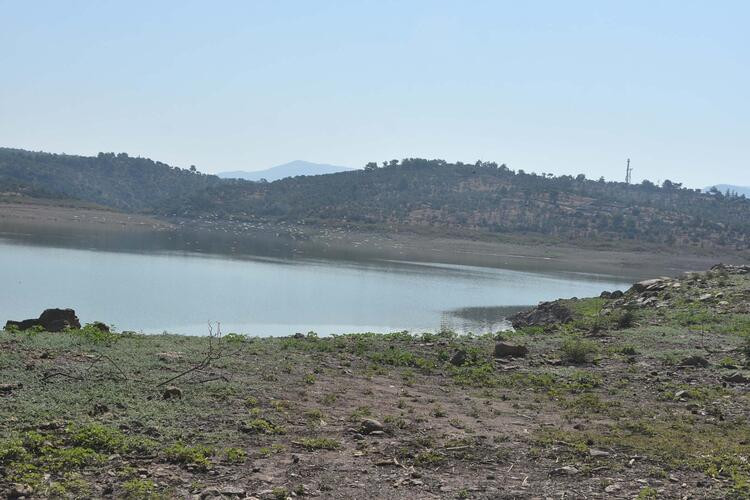 Bodrum'da içme suyunda 'salgın' uyarısı