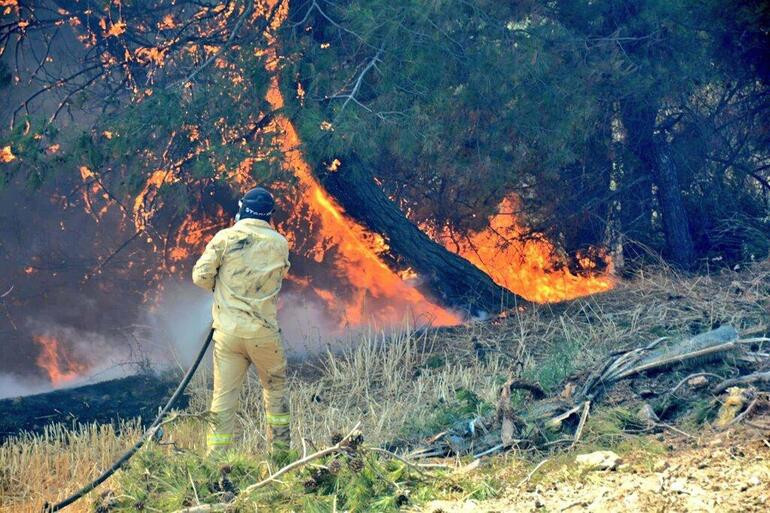 48 saatlik mücadele: Çanakkale'deki yangın kontrol altında!